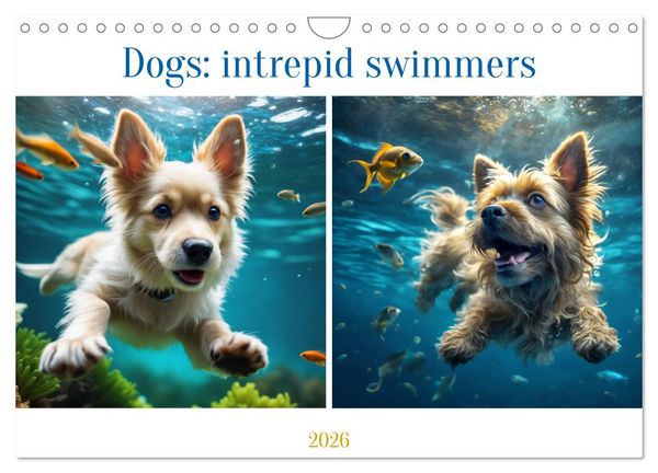 Produktbild: Dogs: intrepid swimmers (Wall Calendar 2026 DIN A4 landscape), CALVENDO 12 Month Wall Calendar