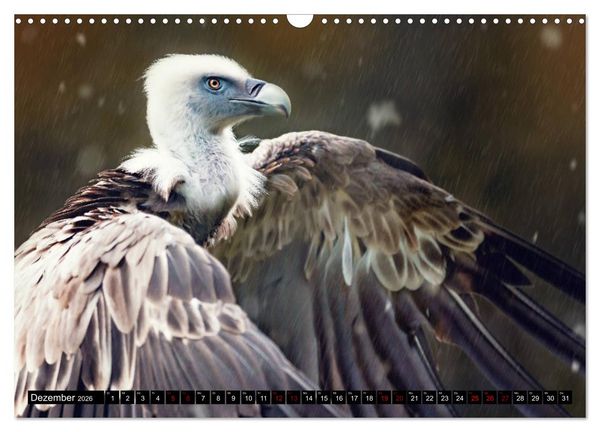 Produktbild: Wild Animals - Wilde Tiere (Wandkalender 2026 DIN A3 quer), CALVENDO Monatskalender