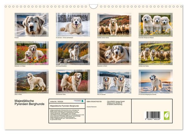 Produktbild: Majest&auml;tische Pyren&auml;en Berghunde (Wandkalender 2026 DIN A3 quer), CALVENDO Monatskalender