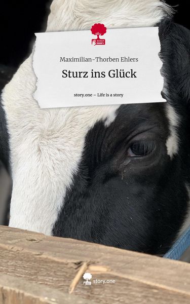 Produktbild: Sturz ins Gl&uuml;ck. Life is a Story - story.one