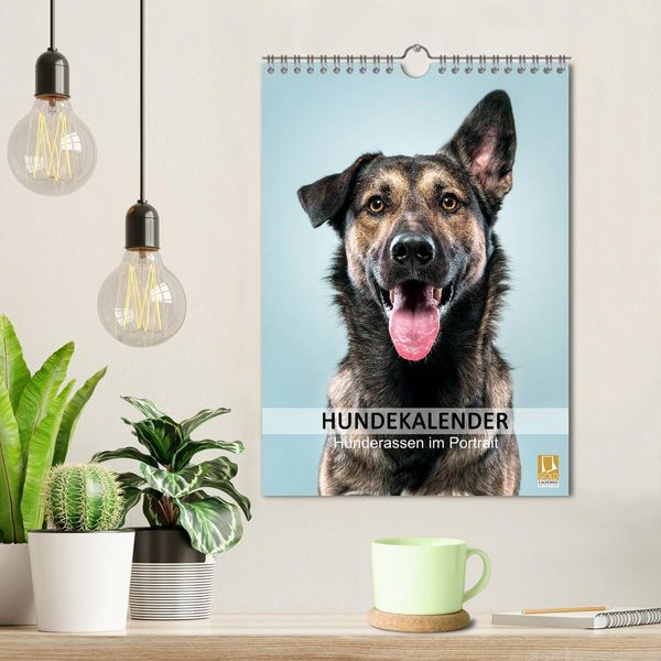 Produktbild: Hundekalender - Hunderassen im Portrait (Wandkalender 2026 DIN A4 hoch), CALVENDO Monatskalender