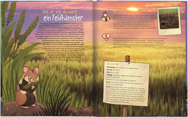 Produktbild: Stell dir vor, du w&auml;rst... Ein Tier in der Nacht