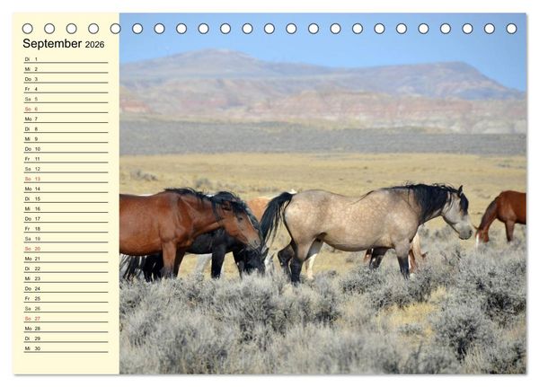 Produktbild: Wilde Pferde. Mustangs in USA (Tischkalender 2026 DIN A5 quer), CALVENDO Monatskalender
