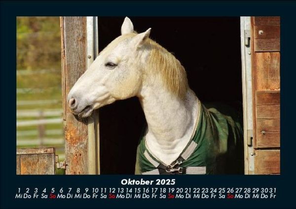 Produktbild: Tierkalender 2025 Fotokalender DIN A5