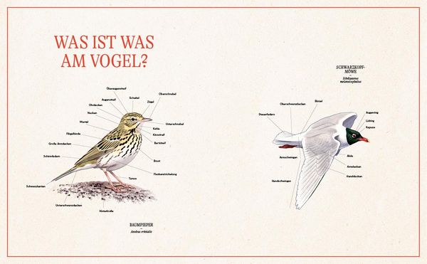 Produktbild: Unsere Vogelwelt