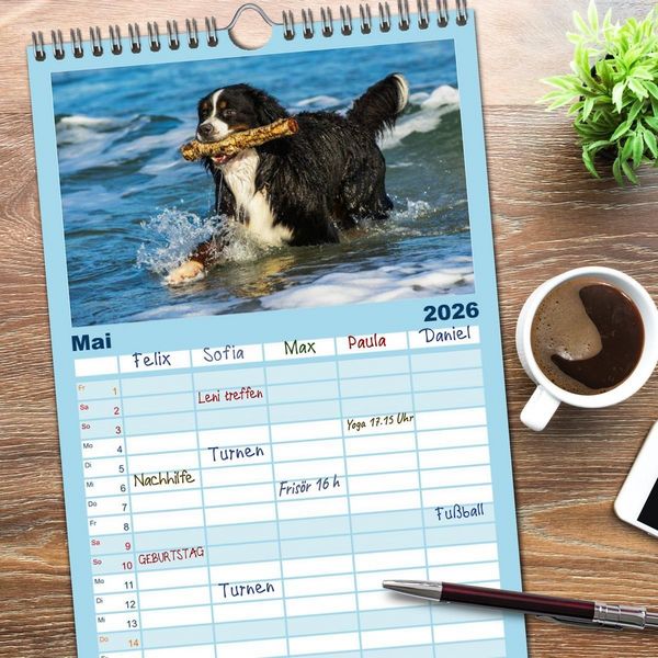 Produktbild: Familienplaner 2026 - Berner Sennenhunde am Strand mit 5 Spalten (Wandkalender, 21 x 45 cm) CALVENDO