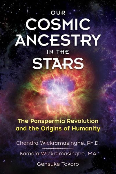Produktbild: Our Cosmic Ancestry in the Stars