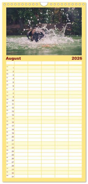 Produktbild: Familienplaner 2026 - Deutscher Boxer mit 5 Spalten (Wandkalender, 21 x 45 cm) CALVENDO