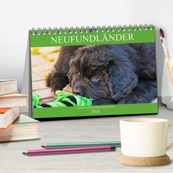 Produktbild: Neufundl&auml;nder - Alle fangen mal klein an (Tischkalender 2026 DIN A5 quer), CALVENDO Monatskalender