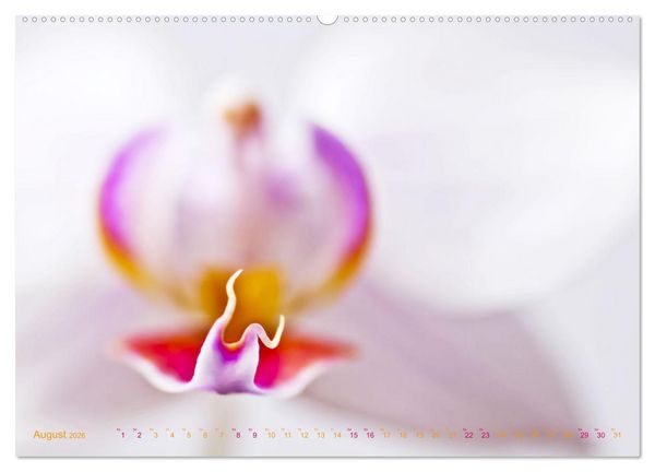 Produktbild: DEEP INSIDE - Bl&uuml;tenmakros (hochwertiger Premium Wandkalender 2026 DIN A2 quer), Kunstdruck in Hochglanz