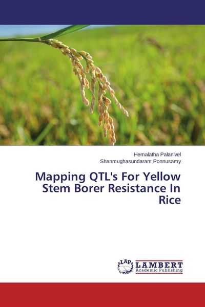 Produktbild: Mapping QTL's For Yellow Stem Borer Resistance In Rice
