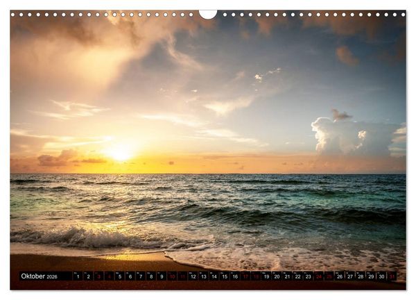 Produktbild: Florida. Der Sonne entgegen. (Wandkalender 2026 DIN A3 quer), CALVENDO Monatskalender