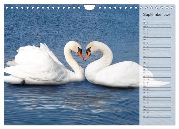 Produktbild: Tage von Herzen (Wandkalender 2026 DIN A4 quer), CALVENDO Monatskalender