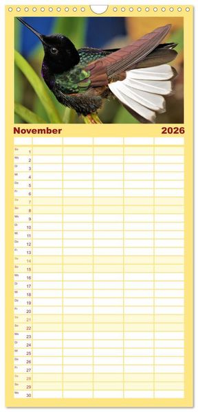 Produktbild: Familienplaner 2026 - Kolibris; Anmut, Sch&ouml;nheit, Farben mit 5 Spalten (Wandkalender, 21 x 45 cm) CALVENDO