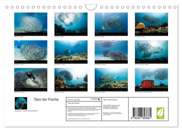 Produktbild: Tanz der Fische (Wandkalender 2026 DIN A4 quer), CALVENDO Monatskalender