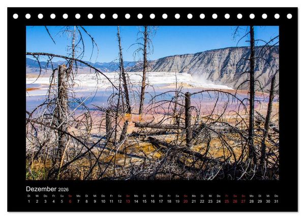Produktbild: W&auml;lder, fotografiert auf vier Kontinenten (Tischkalender 2026 DIN A5 quer), CALVENDO Monatskalender