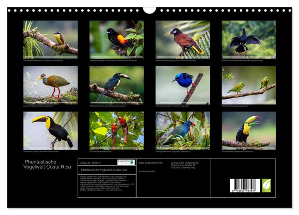 Produktbild: Phantastische Vogelwelt Costa Rica (Wandkalender 2026 DIN A3 quer), CALVENDO Monatskalender