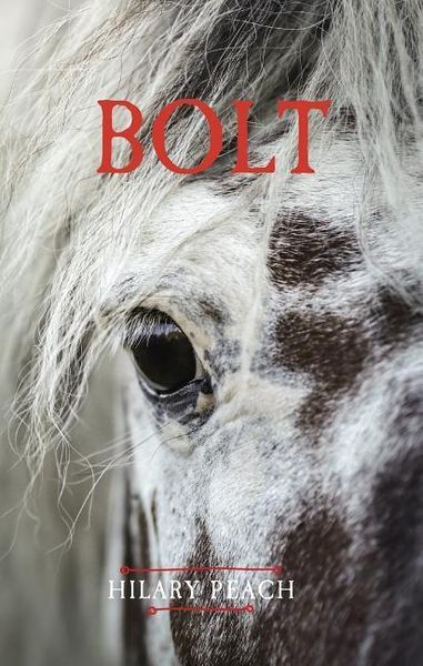 Produktbild: BOLT