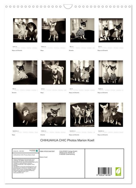 Produktbild: CHIHUAHUA CHIC Photos Marion Koell (Wandkalender 2026 DIN A3 hoch), CALVENDO Monatskalender