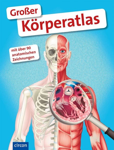 Produktbild: Gro&szlig;er K&ouml;rperatlas