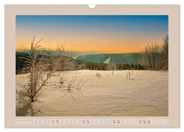 Produktbild: Vogtland - 900 Jahre Plauen (Wandkalender 2026 DIN A3 quer), CALVENDO Monatskalender