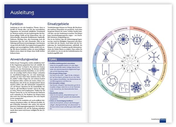 Produktbild: Praxisbuch Neue Hom&ouml;opathie. Band 2