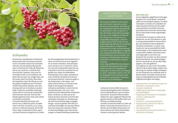 Produktbild: Mit Naturheilkunde Stress bew&auml;ltigen