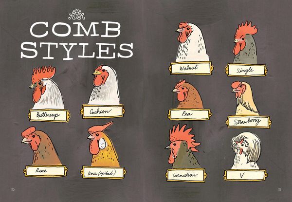 Produktbild: Farm Anatomy