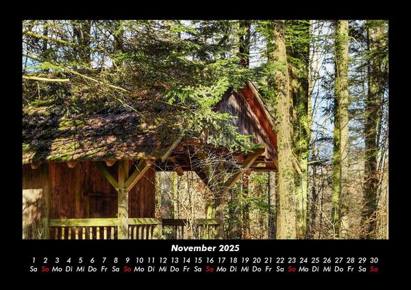Produktbild: B&auml;ume 2025 Fotokalender DIN A3