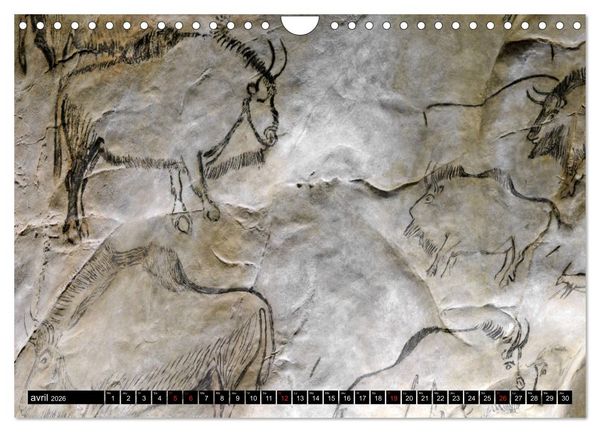 Produktbild: Collection Terre Ari&egrave;ge (Calendrier mural 2026 DIN A4 vertical), CALVENDO calendrier mensuel