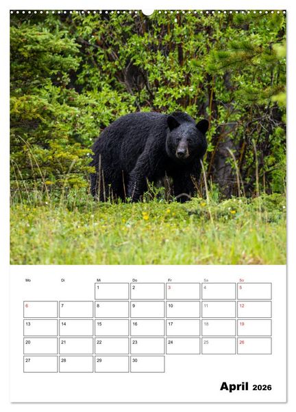 Produktbild: Mein Sch&ouml;nes Kanada (hochwertiger Premium Wandkalender 2026 DIN A2 hoch), Kunstdruck in Hochglanz