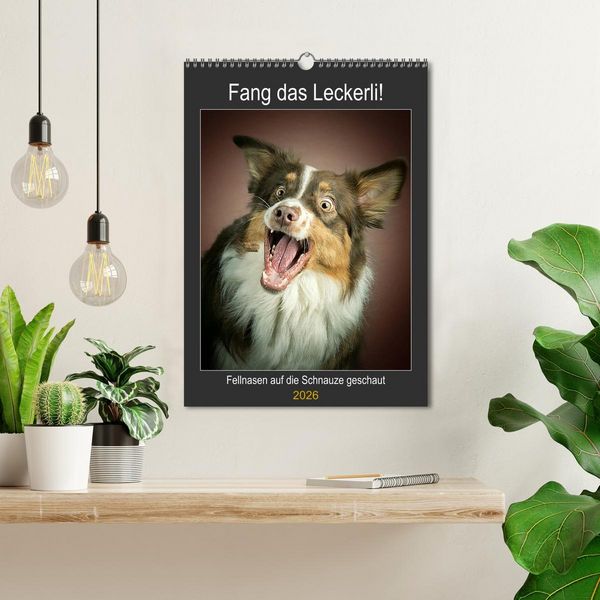 Produktbild: Fang das Leckerli (Wandkalender 2026 DIN A3 hoch), CALVENDO Monatskalender
