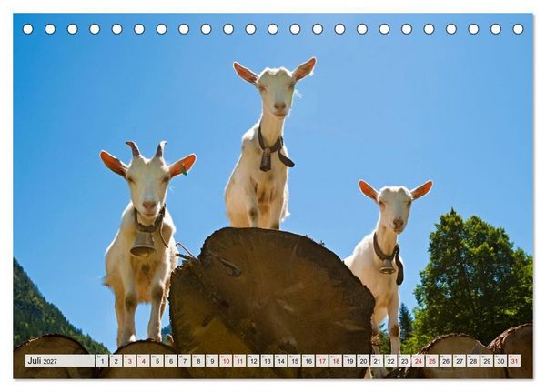 Produktbild: Traumhaftes Allg&auml;u (Tischkalender 2027 DIN A5 quer), CALVENDO Monatskalender