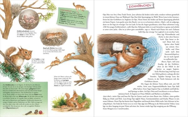 Produktbild: Komm mit zu den Tierkindern!