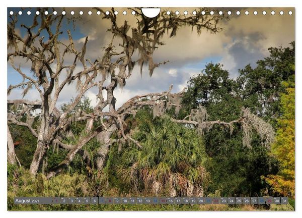 Produktbild: Sunshine State Florida Natur, Tierwelt und Nationalparks (Wandkalender 2027 DIN A4 quer), CALVENDO Monatskalender