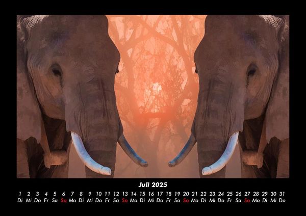 Produktbild: Welt der Tiere 2025 Fotokalender DIN A3
