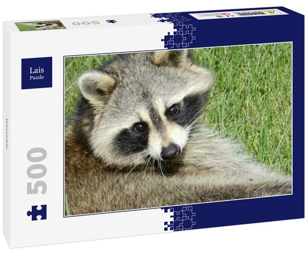 Lais Puzzle Waschbär 500 Teile
