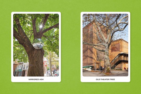 Produktbild: New York City Street Tree Tarot