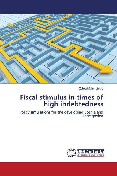 Produktbild: Fiscal stimulus in times of high indebtedness