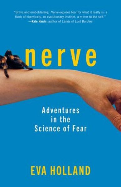 Produktbild: Nerve