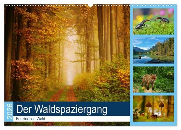 Produktbild: Der Waldspaziergang (Wandkalender 2026 DIN A2 quer), CALVENDO Monatskalender