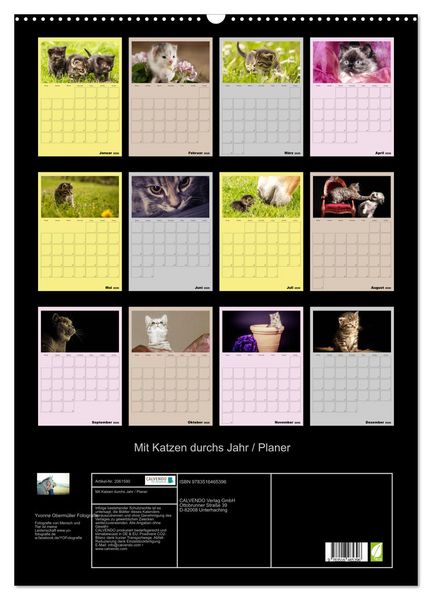 Produktbild: Mit Katzen durchs Jahr / Planer (Wandkalender 2026 DIN A2 hoch), CALVENDO Monatskalender