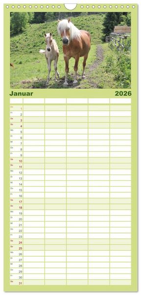 Produktbild: Familienplaner 2026 - Alpenpferde mit 5 Spalten (Wandkalender, 21 x 45 cm) CALVENDO