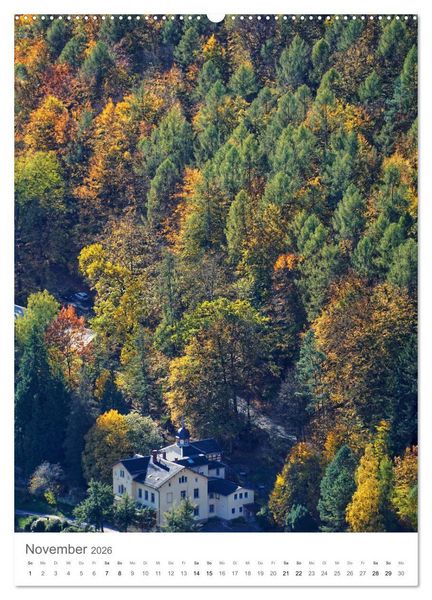 Produktbild: Wald - bezaubernde Landschaften (Wandkalender 2026 DIN A2 hoch), CALVENDO Monatskalender