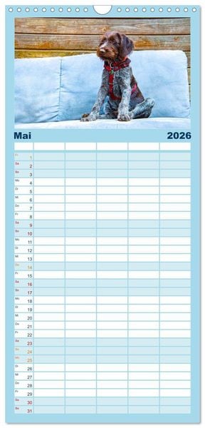 Produktbild: Familienplaner 2026 - Witzige Fellnasen mit 5 Spalten (Wandkalender, 21 x 45 cm) CALVENDO