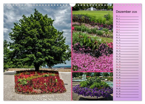 Produktbild: Gartenschau in Erfurt (Wandkalender 2026 DIN A3 quer), CALVENDO Monatskalender