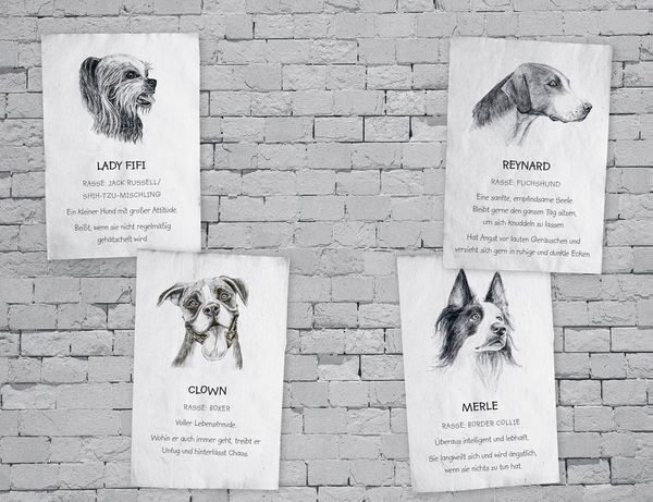 Produktbild: Buddy &ndash; Mein Leben als Stra&szlig;enhund