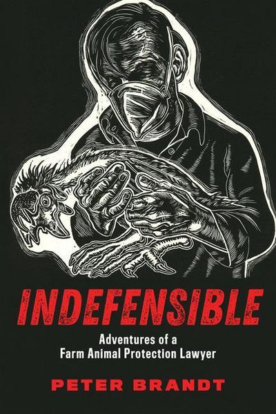 Produktbild: Indefensible