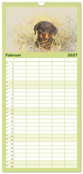 Produktbild: Familienplaner 2027 - Hundewelpen 2027 mit 5 Spalten (Wandkalender, 21 x 45 cm) CALVENDO