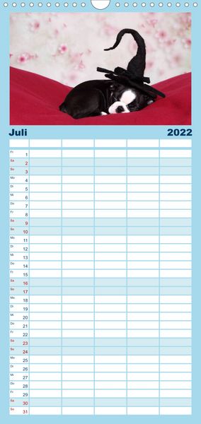 Produktbild: Familienplaner S&uuml;&szlig;e Tr&auml;ume 2022 - schlafende Hundewelpen (Wandkalender 2022 , 21 cm x 45 cm, hoch)